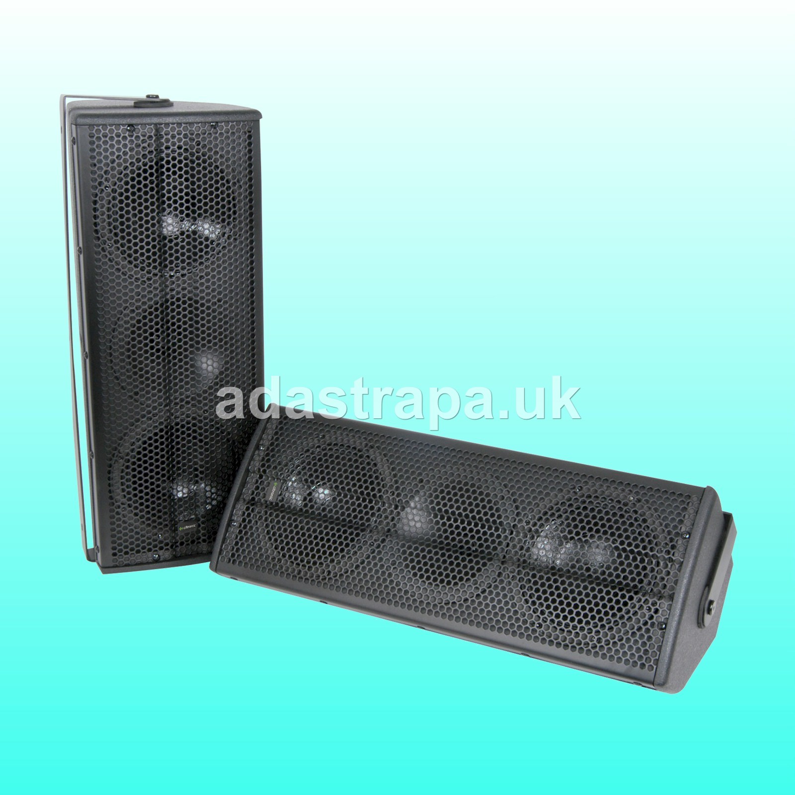 Citronic CX-1608B Professional Wedge Speaker Cabinet 2 x 6.5