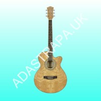 Guitars - Acoustic Electro 