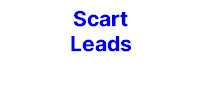 Scart Leads